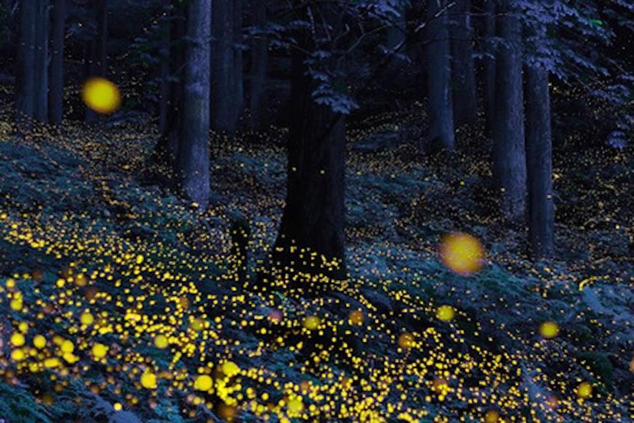 Gableview Forest Inn ゲーブルビュー Nikko Eksteriør bilde